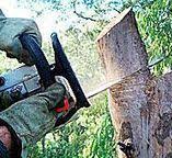 Best Tree and Shrub Care  in Newell, WV